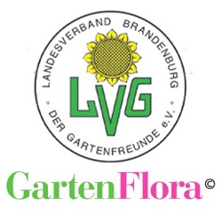 Verbandsinformationen Brandenburger GartenFlora 11/2021