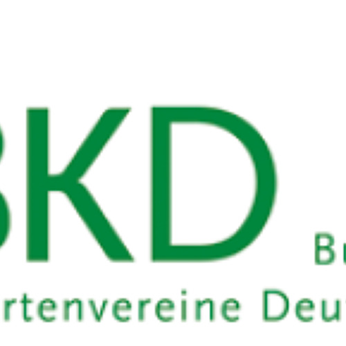 BKD informiert 03-2026
